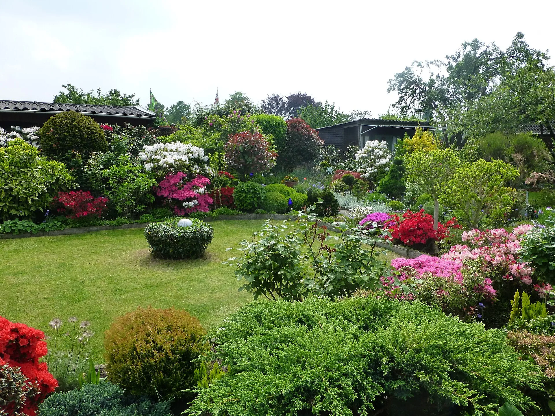 Üppig bepflanzter Kleingarten mit blühenden Rhododendren und Azaleen, gepflegtem Rasen und einer Laube im Hintergrund