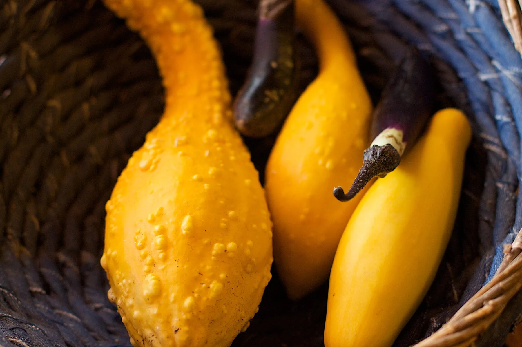 Ein Korb voller frisch geernteter Sommergemüse und Kräuter aus dem Garten