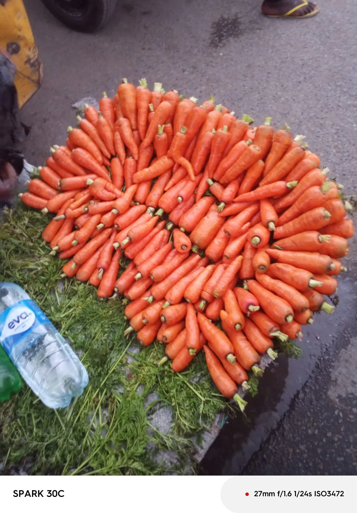 Ein Haufen frisch geernteter Möhren mit anhaftender Erde