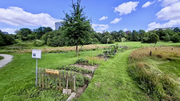 Sonniger Gemeinschaftsgarten mit angelegten Beeten, jungem Baum und Holzzaun unter blauem Himmel