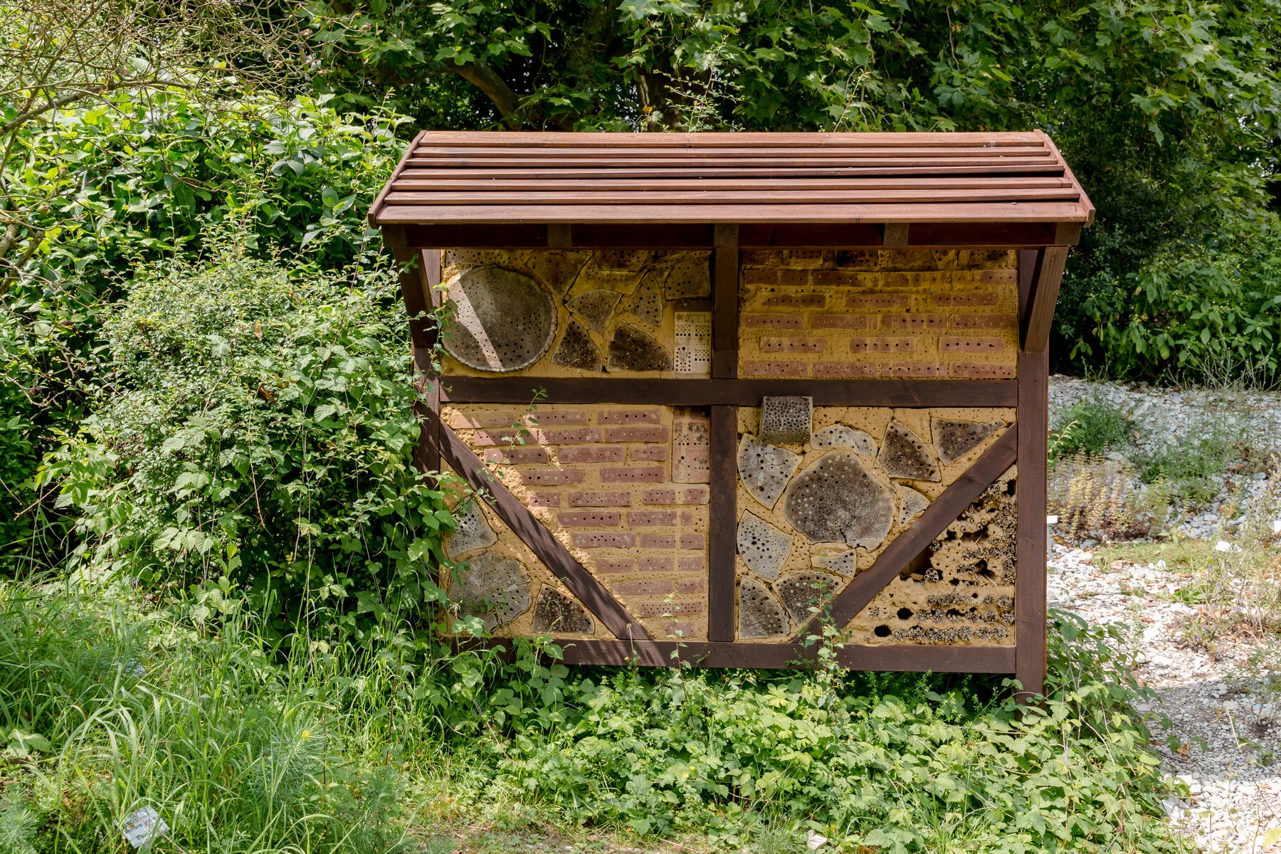 Wooden insect hotel with drill holes, reed stems and cones