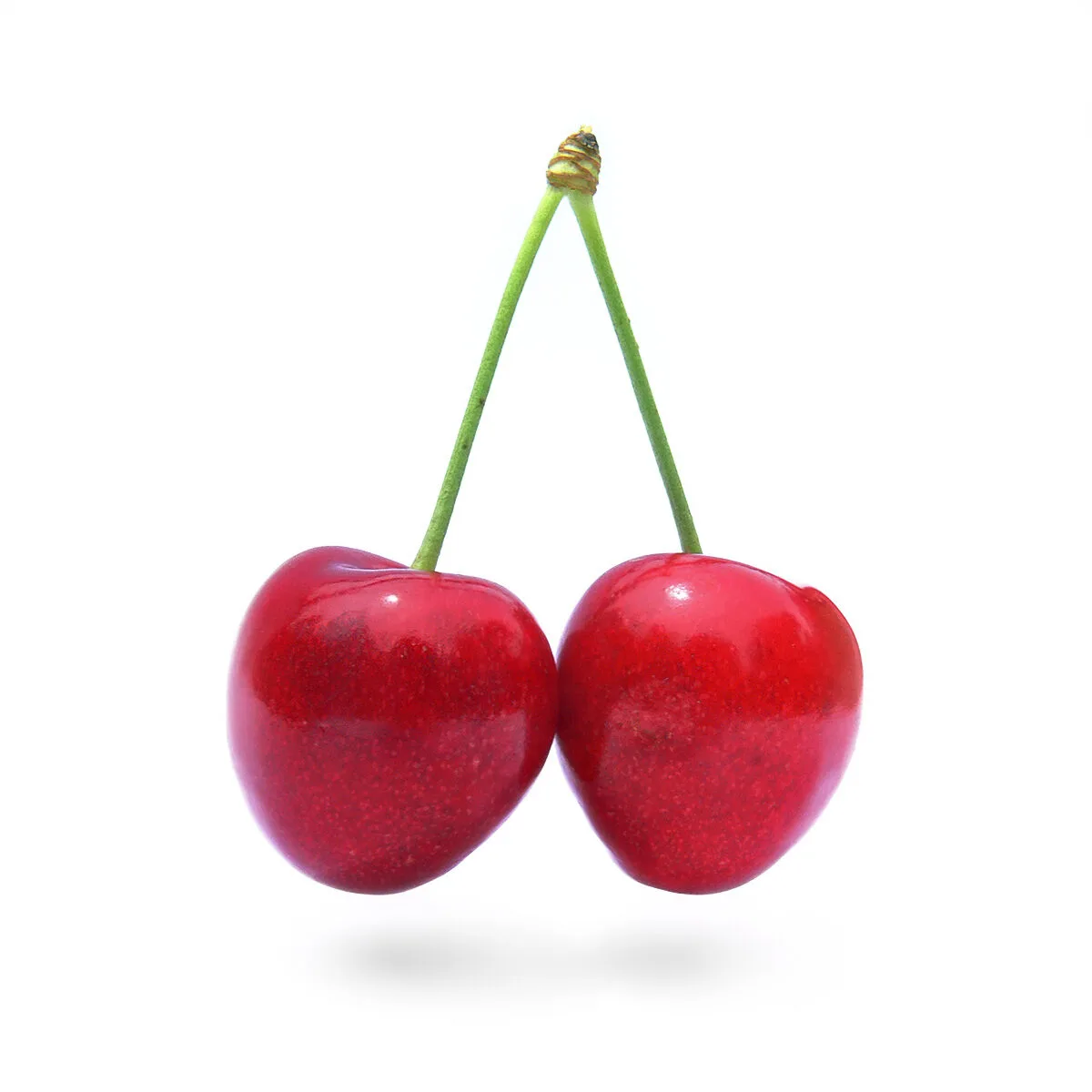 Two ripe, deep-red sweet cherries on a shared stalk
