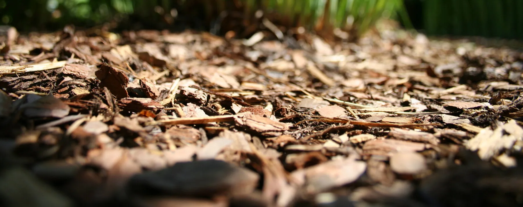 Nahaufnahme einer Schicht aus grobem Rindenmulch auf dem Gartenboden