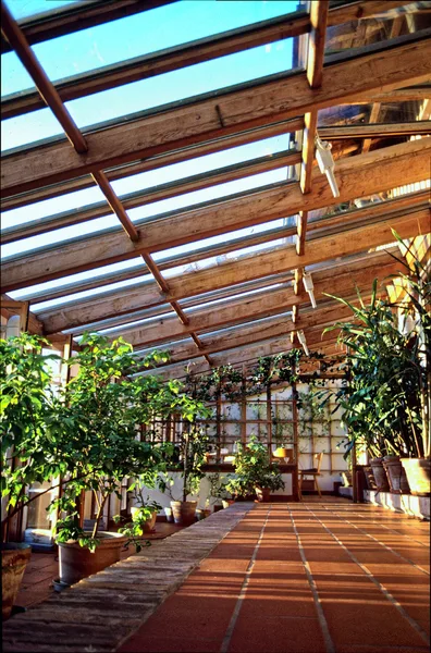 Ein heller, mit Glas gedeckter Wintergarten mit vielen Kübelpflanzen auf Fliesenboden