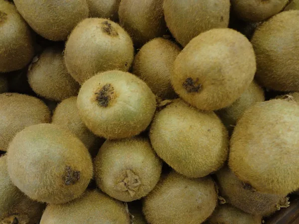 Reife braune Kiwifrüchte der großen Kiwi