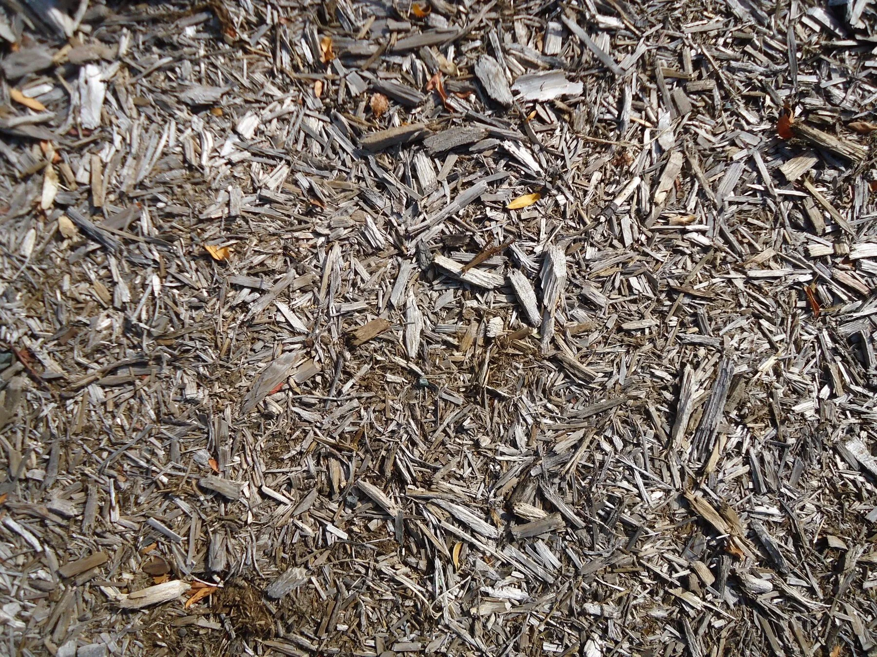 Bodenoberfläche mit einer Schicht aus grobem Holzmulch