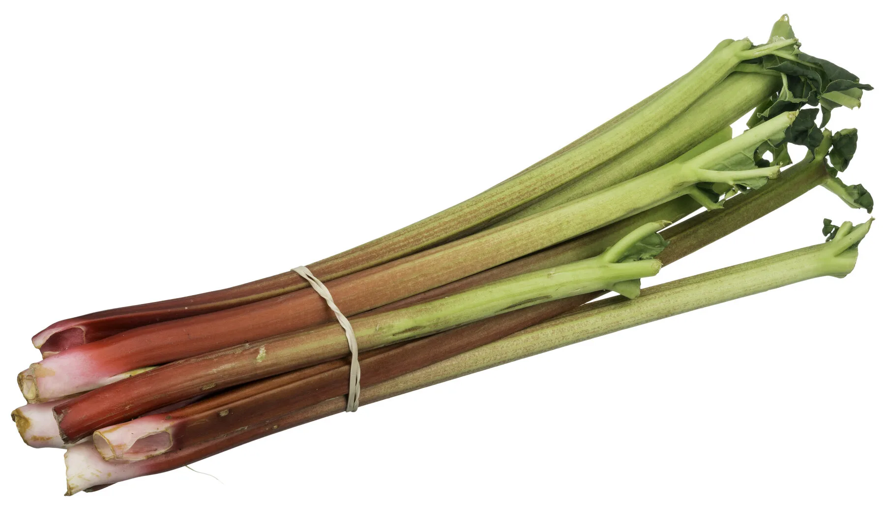 Geerntete Rhabarberstangen mit rot-grüner Färbung und großen Blättern