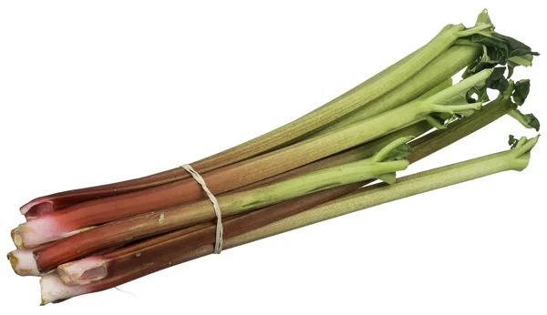 Geerntete Rhabarberstangen mit rot-grüner Färbung und großen Blättern