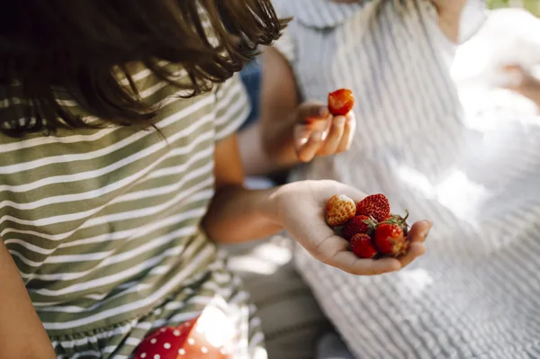 Zwei Kinder pflücken reife Erdbeeren im Garten und halten sie in den Händen