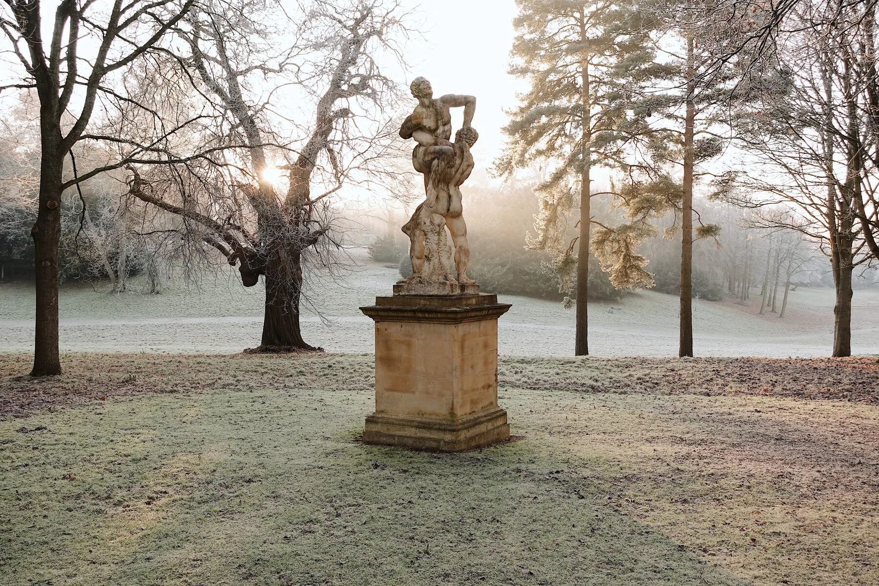 Weitläufiger Garten im Raureif an einem klaren Wintermorgen, Rasen und Sträucher weiß überzogen
