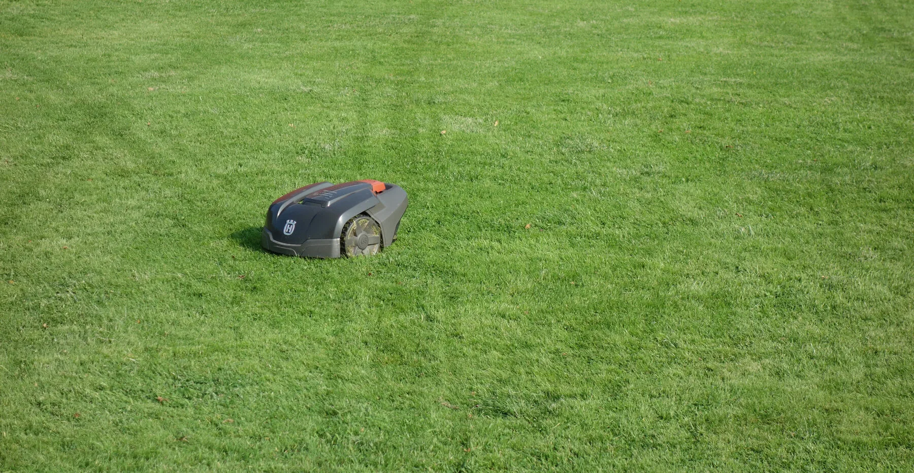 Ein Mähroboter zieht seine Bahnen über einen kurz geschorenen Rasen.