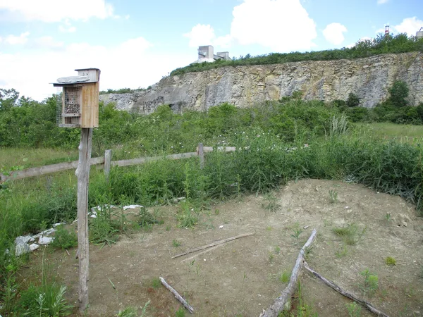 Angelegtes Sandarium aus offenem Sand in einem Steinbruchpark, umgeben von Wildkräutern