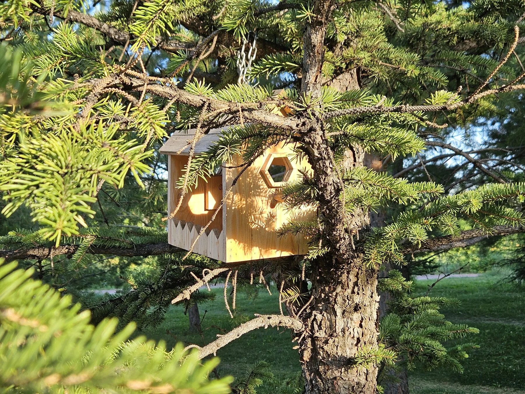 Hölzerner Nistkasten mit rundem Einflugloch, an einem Baum im Garten befestigt