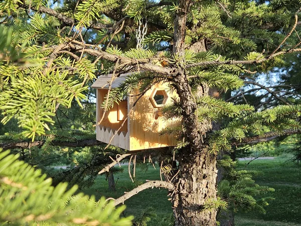 Hölzerner Nistkasten mit rundem Einflugloch, an einem Baum im Garten befestigt