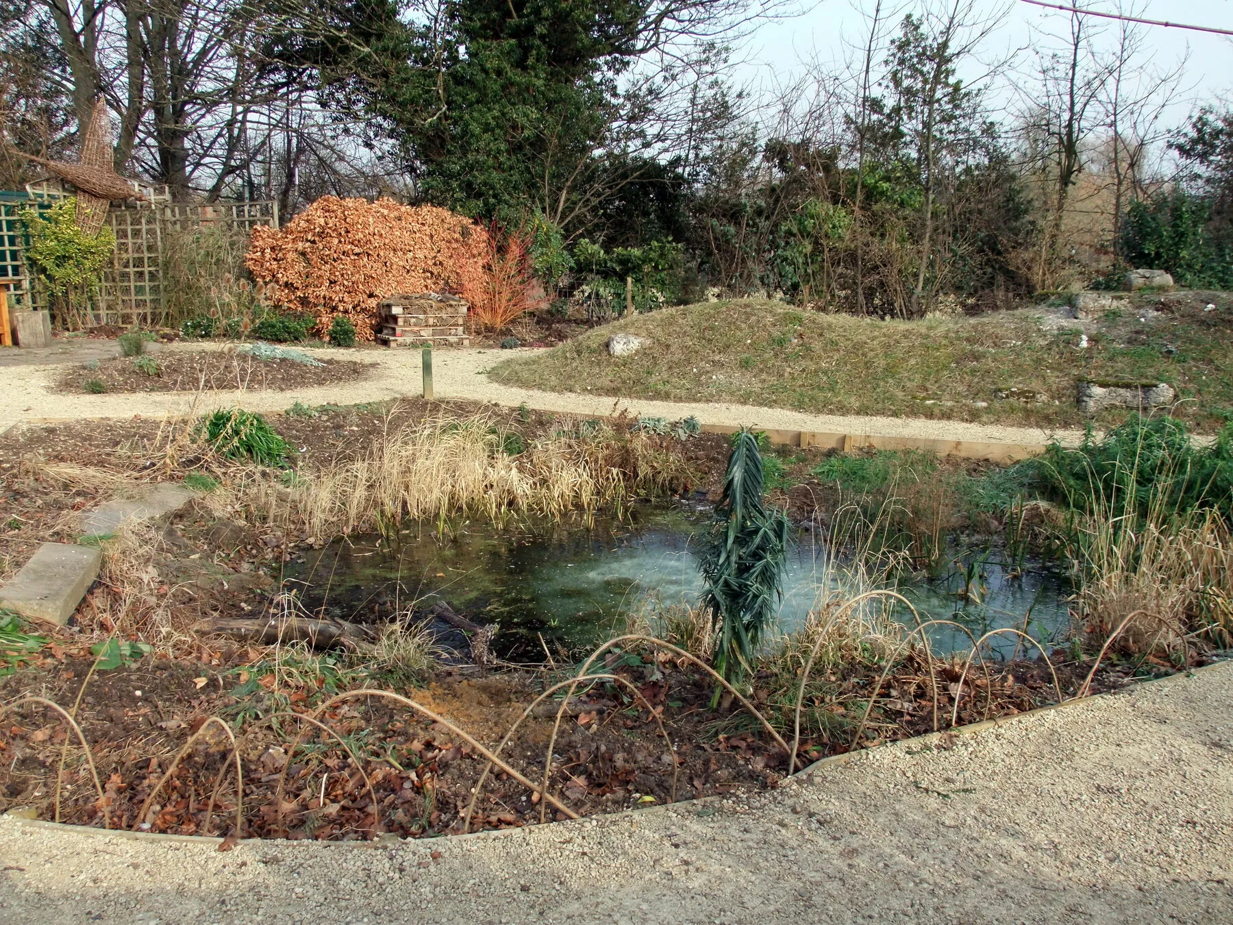 Naturnaher Gartenteich mit dicht bewachsenem Uferrand und flacher Sumpfzone