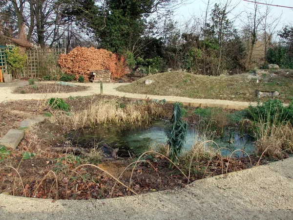 Naturnaher Gartenteich mit dicht bewachsenem Uferrand und flacher Sumpfzone