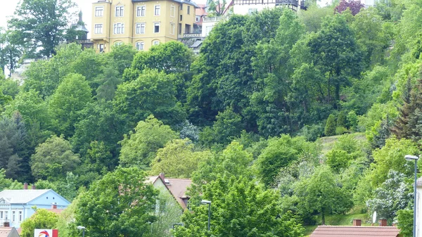 Trockenmauer aus geschichteten Natursteinen in einem Garten, bewachsen mit Polsterstauden