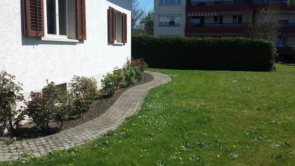 Dichter, gepflegter Rasen mit Gartenweg und Rosenbeet an einem sonnigen Tag