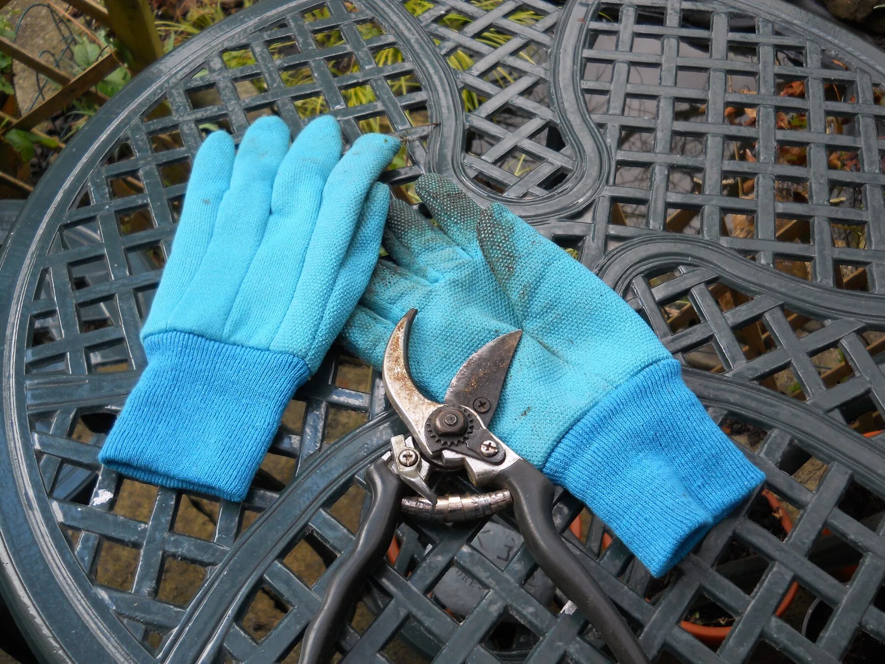 Verharzte Gartenschere mit Erd und Pflanzenresten neben abgenutzten Handschuhen