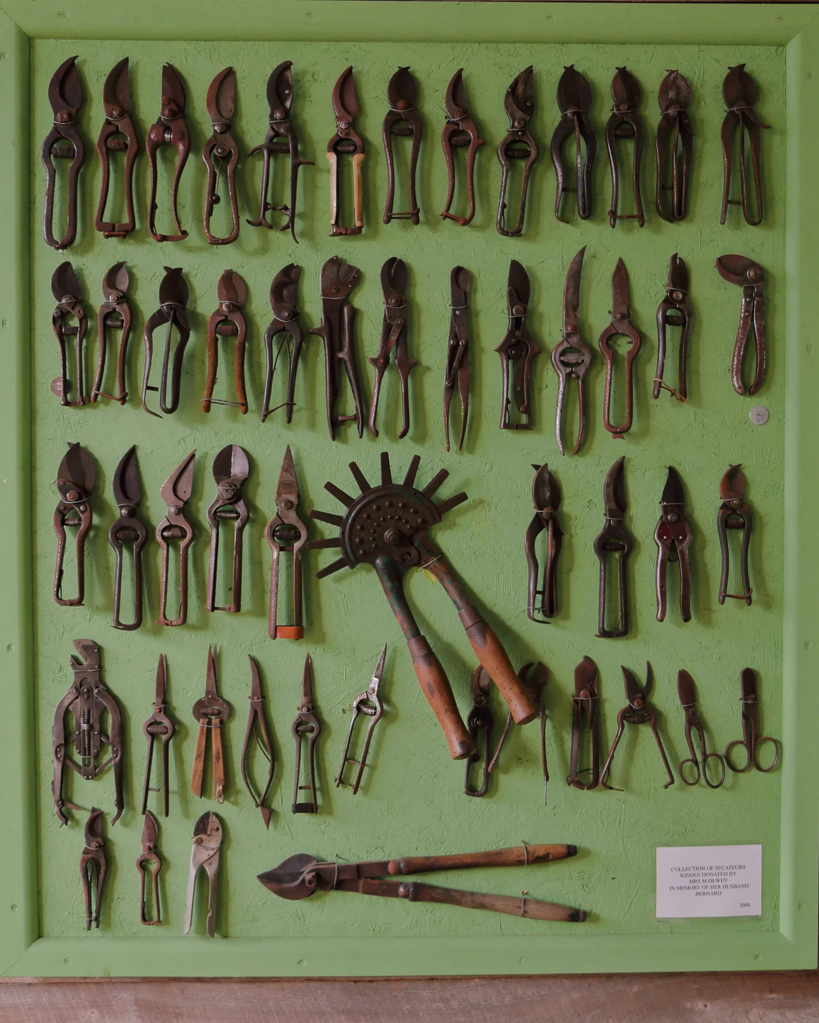 Mehrere Gartenscheren nebeneinander, darunter Bypass- und Amboss-Modelle mit unterschiedlichen Griffen.