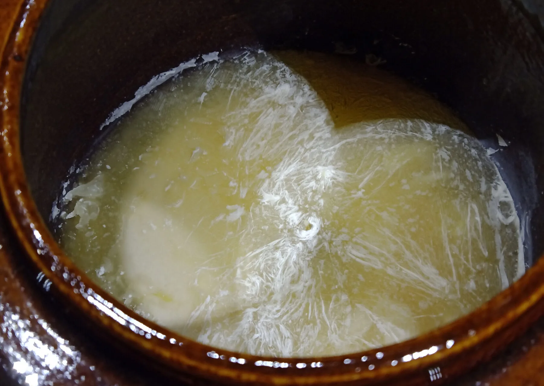 Weißer, faltiger Kahmhefe-Film auf der Oberfläche einer Sauerkraut-Lake im Glas
