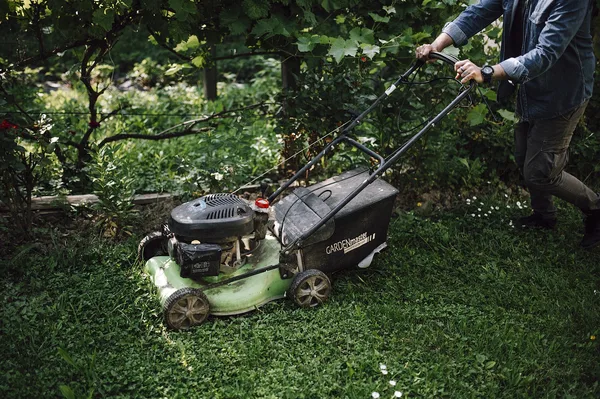 Benzin-Rasenmäher mit angehängtem Fangkorb wird über eine grüne Rasenfläche im Garten geschoben