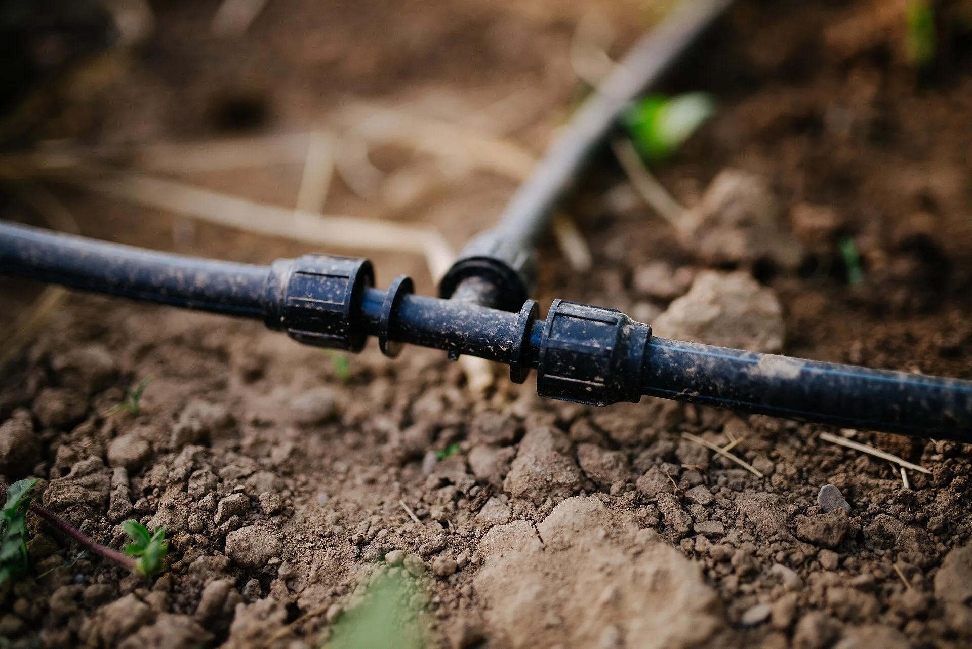 Nahaufnahme eines schwarzen Tropfschlauchs mit zwei Schraubverbindern auf trockener Gartenerde