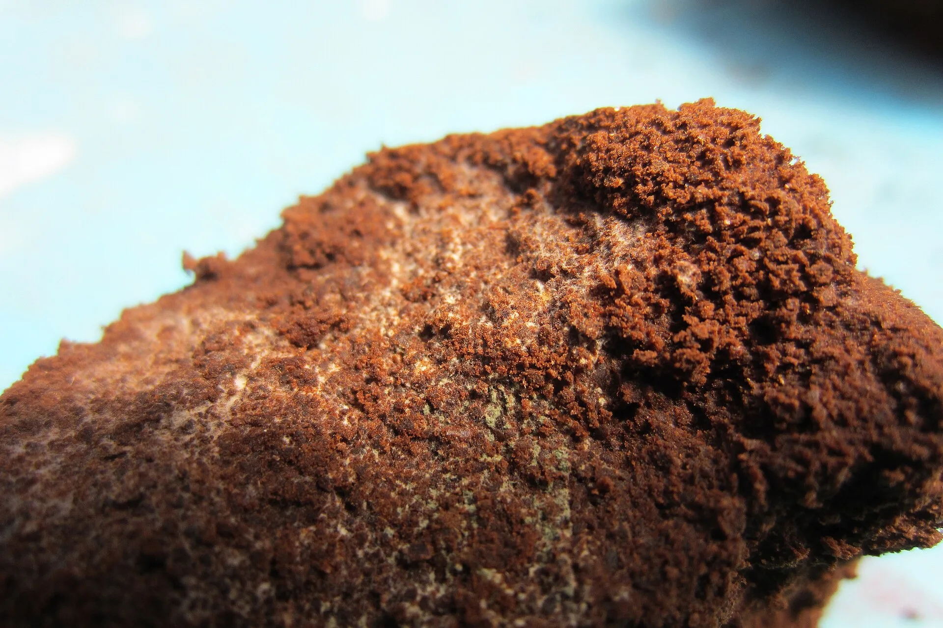 Nahaufnahme eines feuchten Kaffeesatz-Klumpens mit weißem Schimmelgeflecht auf der Oberfläche