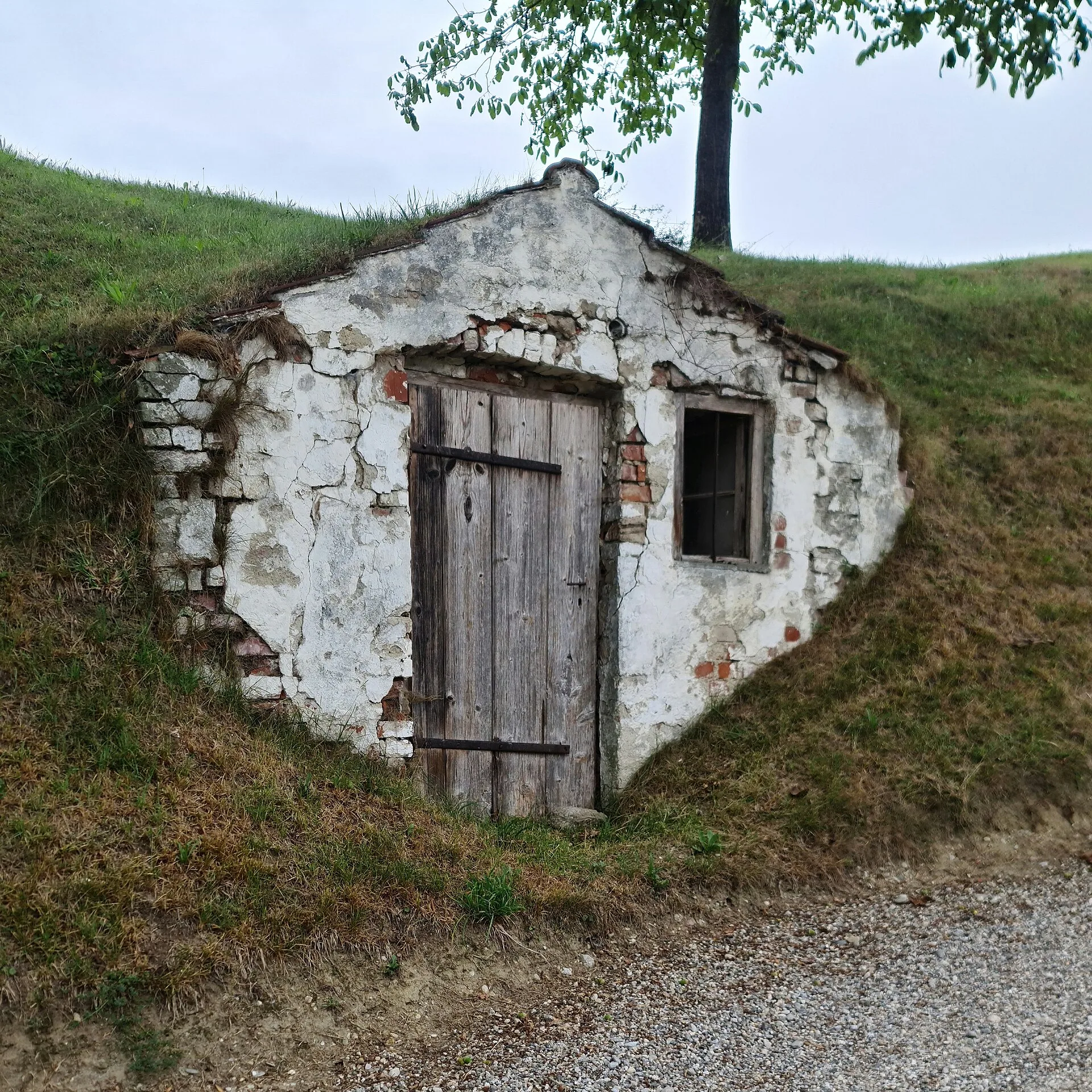 In einen Grashang gebauter alter Erdkeller mit verputzter Front, verwitterter Holztür und vergittertem Fensterchen