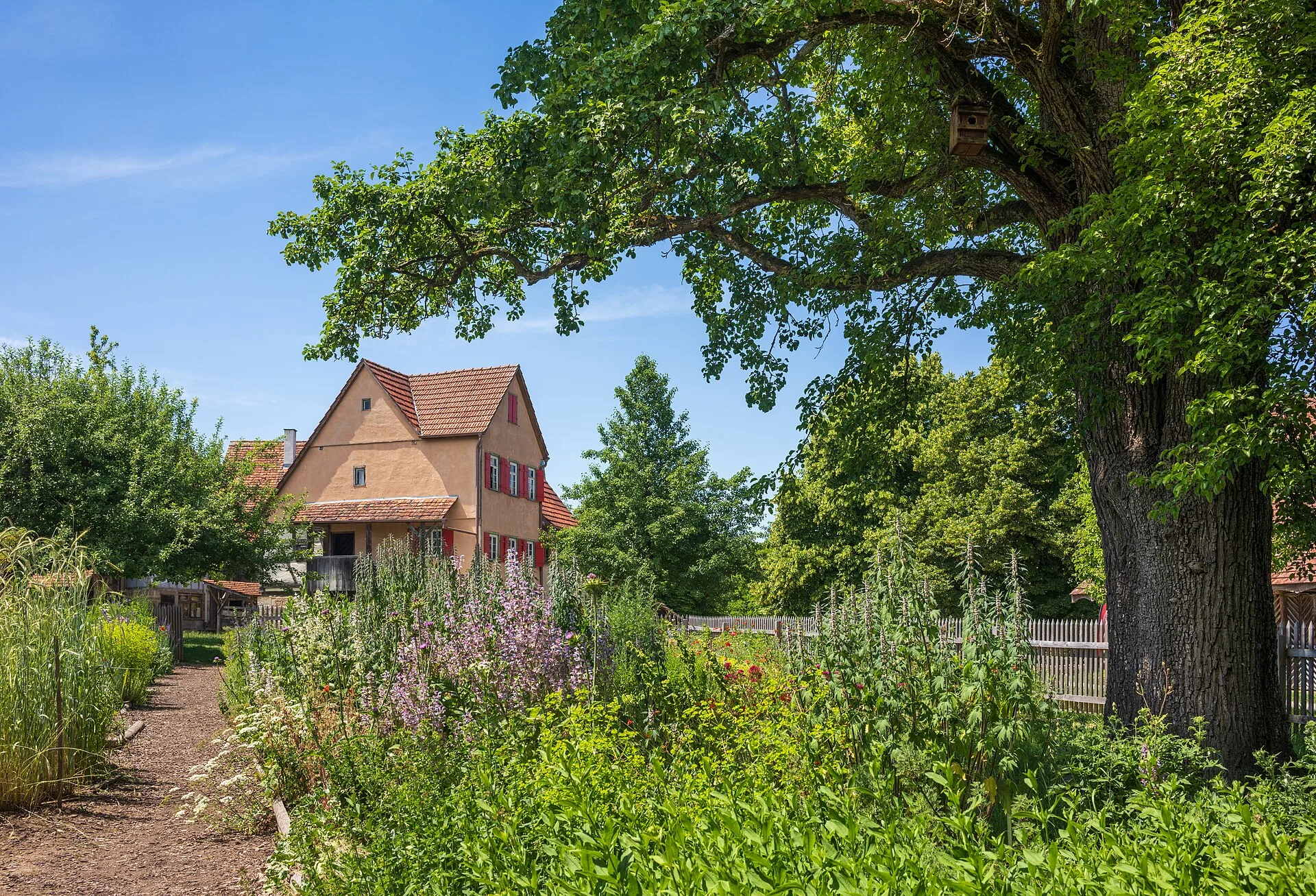 Bauerngarten mit sandigem Weg, Staketenzaun und blühenden Beeten vor einem alten Bauernhaus