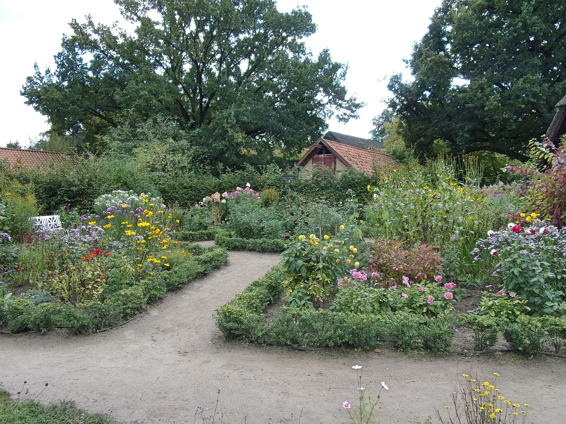 Bauerngarten mit niedriger Buchseinfassung, sich kreuzenden Sandwegen und dicht bepflanzten Beeten
