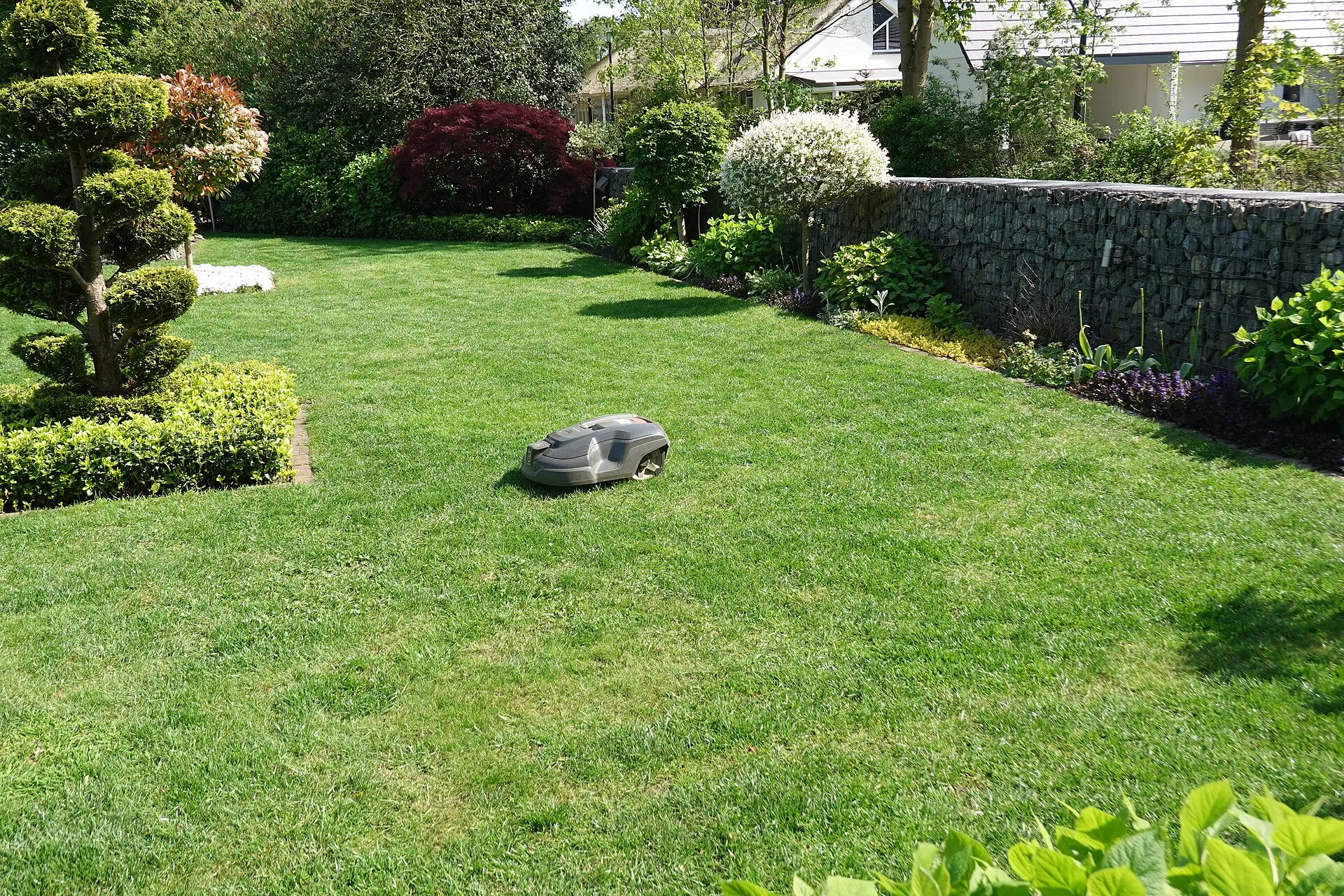 Mähroboter fährt über eine gepflegte Rasenfläche in einem Hausgarten mit Staudenbeet und Formgehölzen