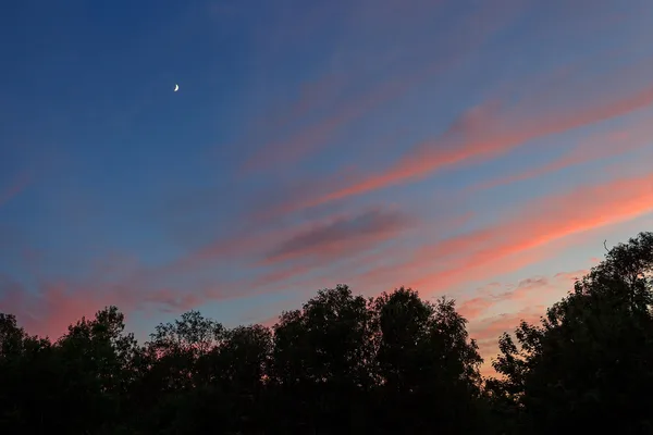 Zunehmende Mondsichel über einer Baumreihe im Abendhimmel mit rosa Wolkenbändern