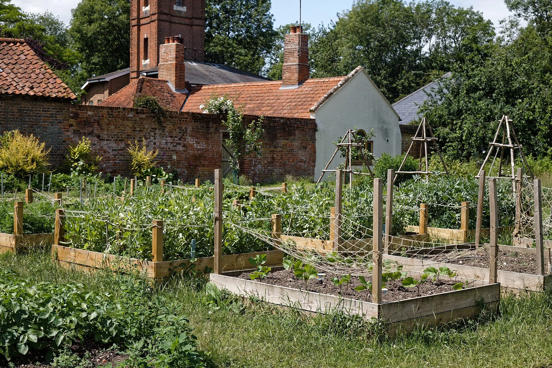 Gemüsegarten hinter einer alten Ziegelmauer mit Holz-Hochbeeten, Bohnenreihen und Rankgerüsten aus Ästen