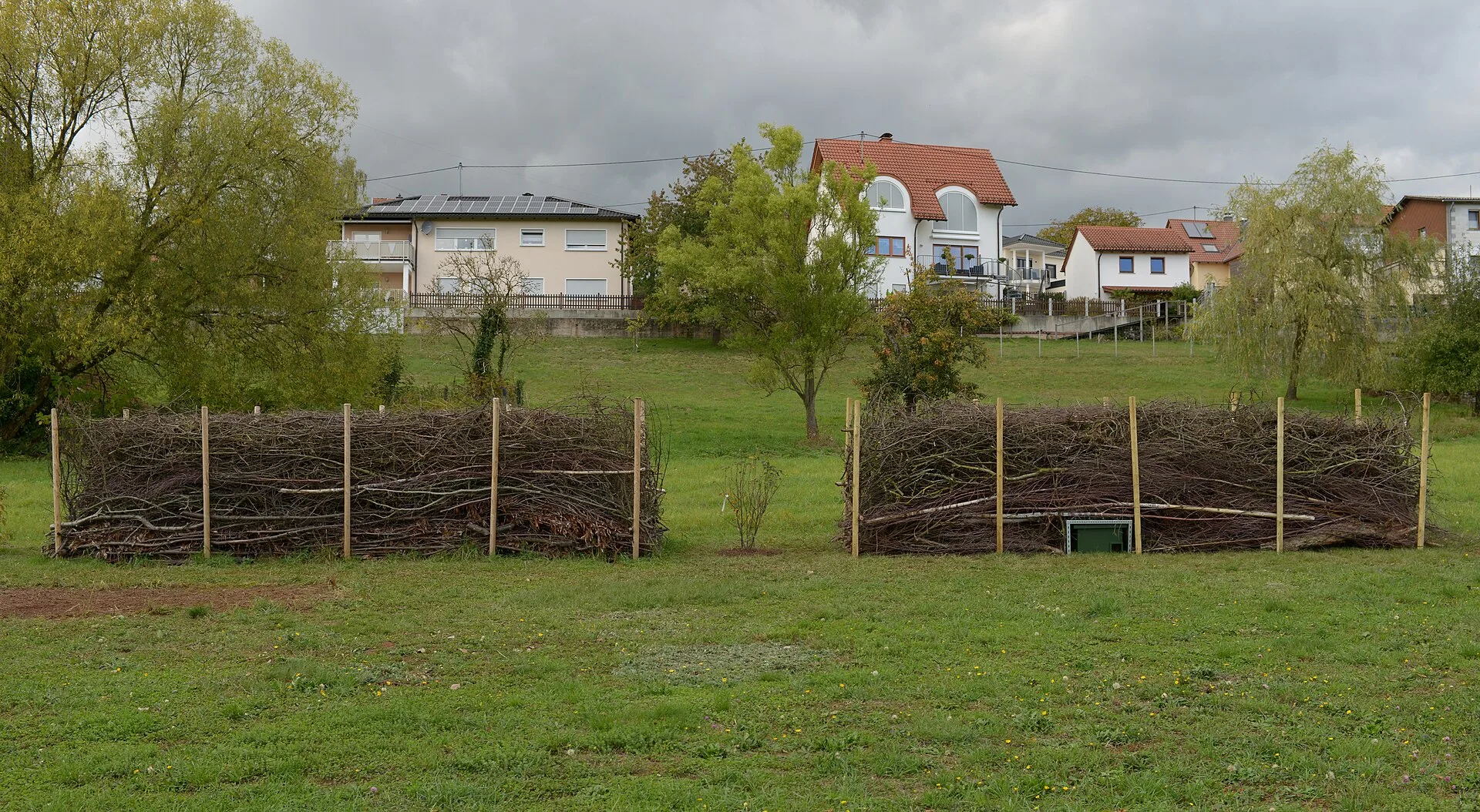 Zwei lange Benjeshecken auf einer Wiese, Astmaterial ist zwischen je zwei Reihen eingeschlagener Holzpfosten aufgeschichtet