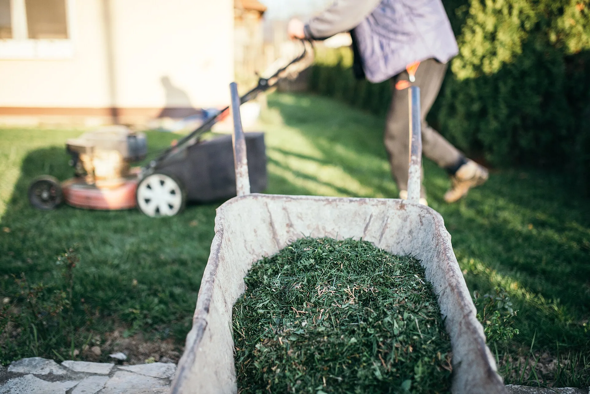 Schubkarre mit frischem Rasenschnitt im Garten, dahinter ein Rasenmäher und eine Person