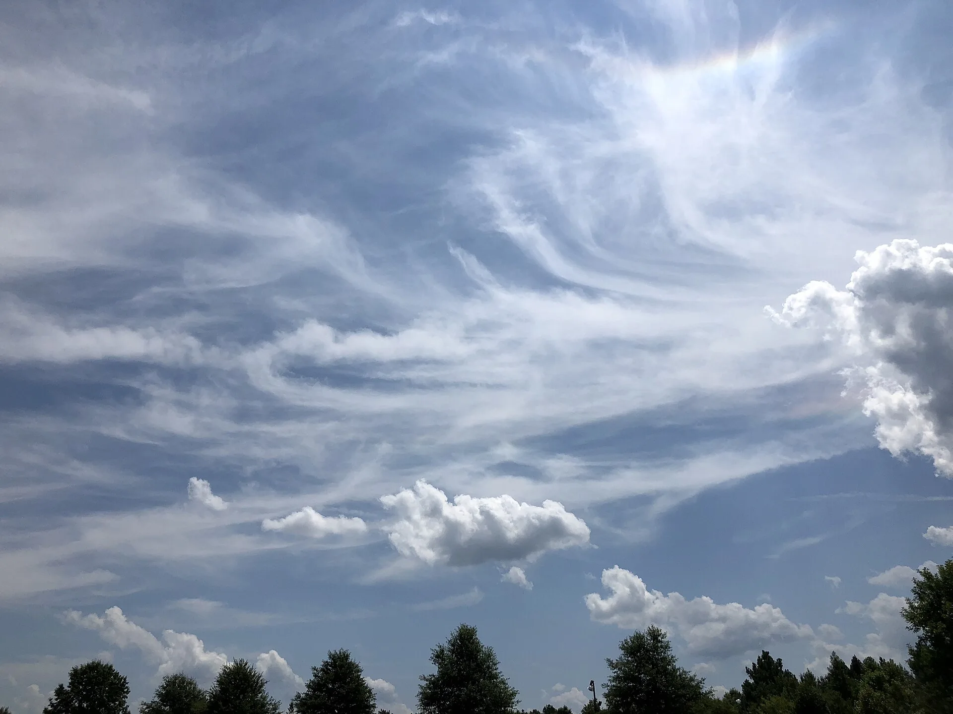 Hoher Himmel mit feinen, faserigen Cirrus-Schleiern und darunter kleinen weißen Schönwetter-Cumulus-Wolken über einer Baumreihe