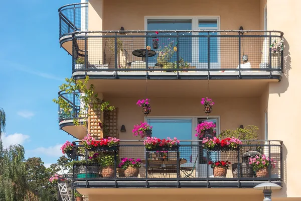 Zwei bepflanzte Wohnungsbalkone mit Kübeln, Blumenkästen und einem hölzernen Rankgitter, an dem eine Rankpflanze hochwächst.