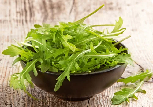 Rucola