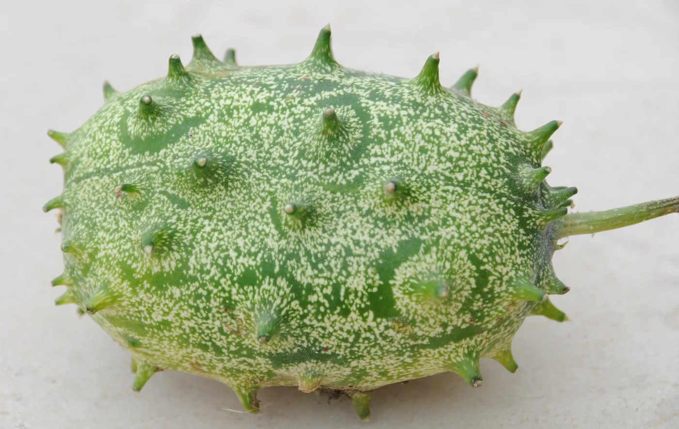 Kiwano