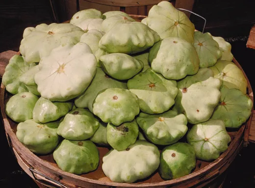 Zierkürbis